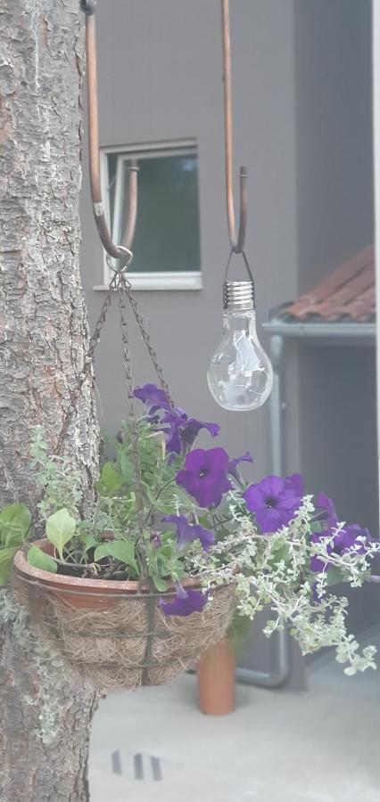 Apartman Tika Pula Exteriör bild